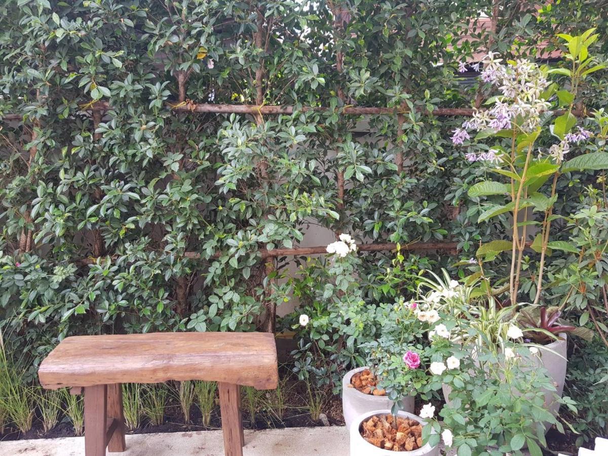 Hotel Rosy Chiang Mai Eksteriør billede